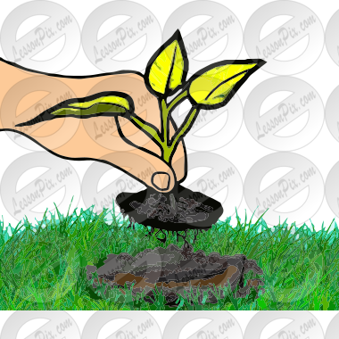 Plant