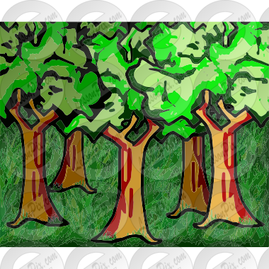 Woods