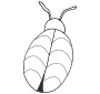 Bug  Outline