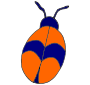 Bug  Picture