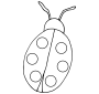 Bug  Outline