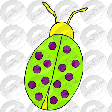 Bug