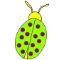 Bug  Picture