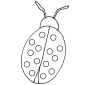 Bug  Outline