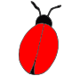 Bug  Picture