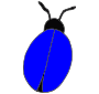 Bug  Picture