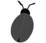 Bug  Picture