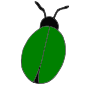 Bug  Picture