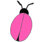 Bug  Picture