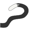 Tail