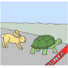 Race