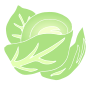 Cabbage