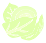 Cabbage