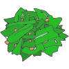Collard Greens
