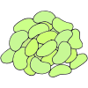 Lima Beans Picture