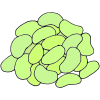 Lima Beans