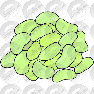 Lima Beans