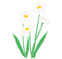 Daisies Stencil