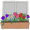 Window Box Picture