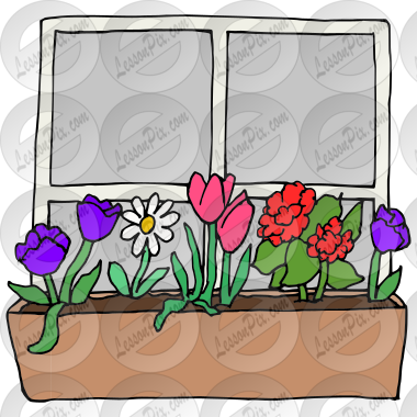 Window Box Picture