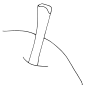 Stem  Outline