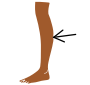 Calf
