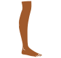 Leg