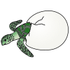 Sea Turtle Hatching