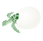 Sea Turtle Hatching