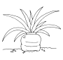 Carrot  Outline