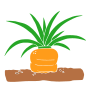Carrot  Stencil