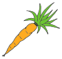 Carrot