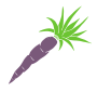 Purple Carrot