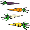 Carrots