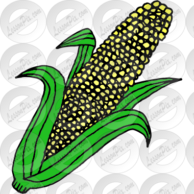 Corn Picture