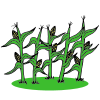 Corn Stalks