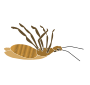 Dead Bug