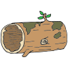 Hollow Log Picture