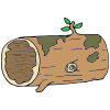Hollow Log