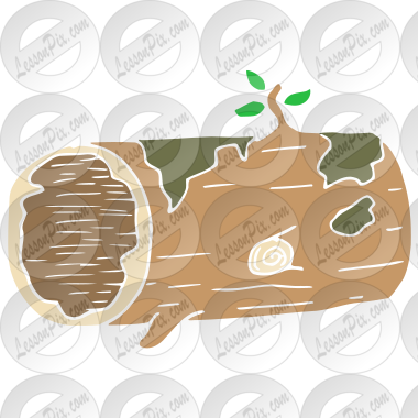 Hollow Log