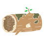 Hollow Log