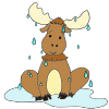 Wet Moose Picture