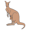 Kangaroo Picture