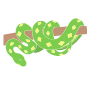 Boa