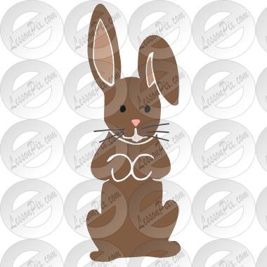 Chocolate Bunny
