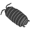 Roly-poly