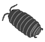 Roly-poly
