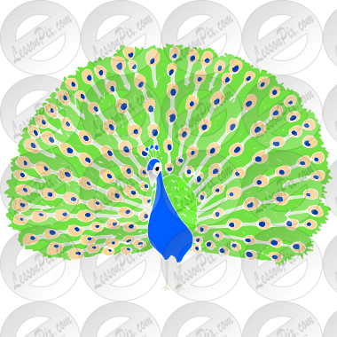 Peacock Stencil