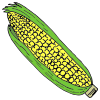 Corn Picture