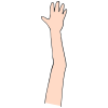 Raise Hand Picture